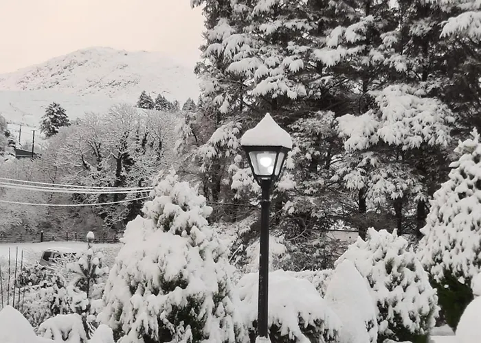 Studio Apartment 公寓 *